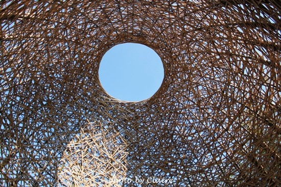 【遊】聖誕氛圍‧人多到爆炸的花博 - 第2張圖