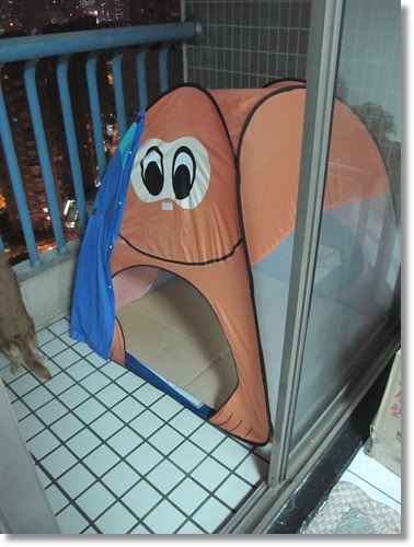 【PET】天使布 - 第8張圖