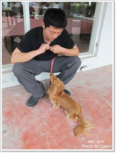 ★狗兒的春吶盛會 <重頭戲:跑錯麻咪的小T...> - 第37張圖