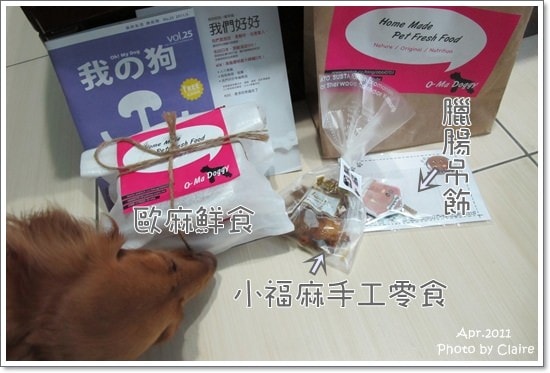 ★狗兒的春吶盛會 <重頭戲:跑錯麻咪的小T...> - 第48張圖