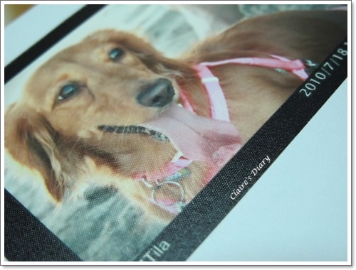 【Tila愛買買】2011臘腸桌曆,你家寶貝在哪裡? - 第5張圖