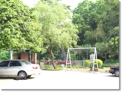 【PET】布,送你最後一程 - 第6張圖