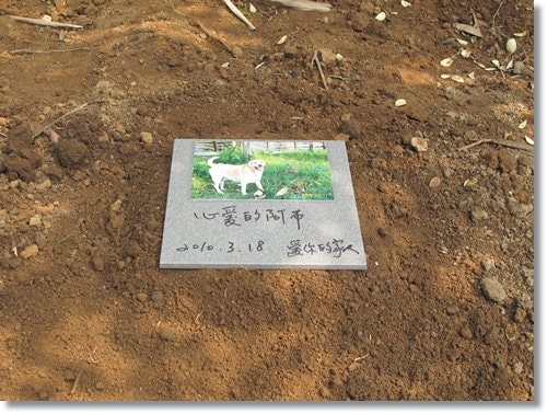 【PET】布,送你最後一程 - 第12張圖