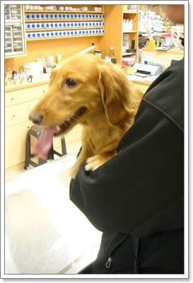 【Tila】2010 TILA打預防針 - 第3張圖