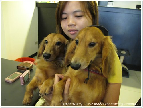 【腸♥聚】貓來貓去茶坊+環球迷你寵物公園 - 第4張圖