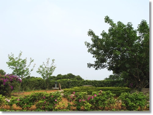 【PET】布,送你最後一程 - 第5張圖