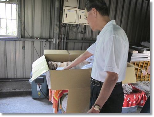 【PET】布,送你最後一程 - 第4張圖