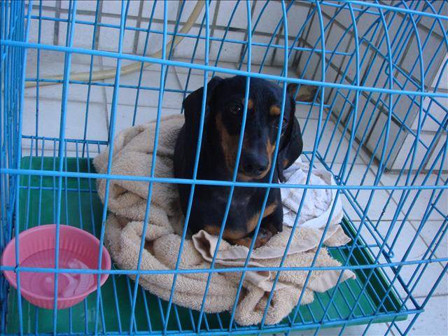 ◆Claire心底話◆短暫的緣分 妹妹 - 第2張圖