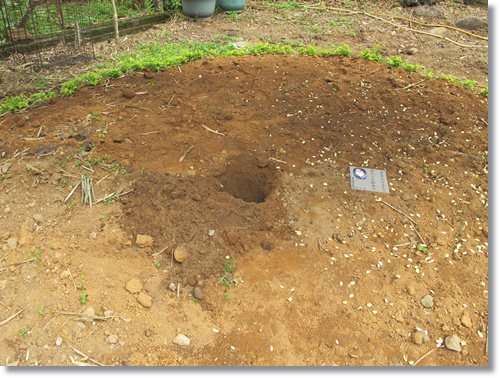 【PET】布,送你最後一程 - 第8張圖