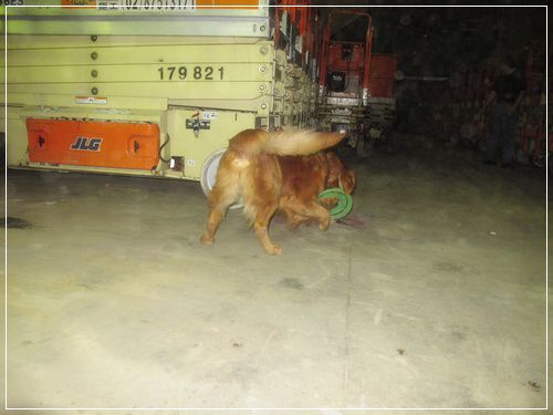 【PET】♥雞腿好可愛♥ - 第7張圖 【PET】♥雞腿好可愛♥