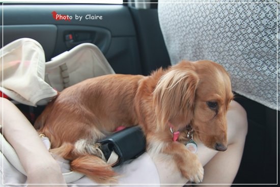 【食‧高雄】義大世界隨逛&紅舍RED THAI泰式料理 - 第20張圖