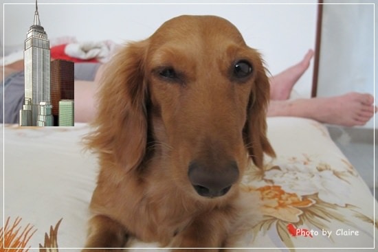 【食‧高雄】義大世界隨逛&紅舍RED THAI泰式料理 - 第21張圖