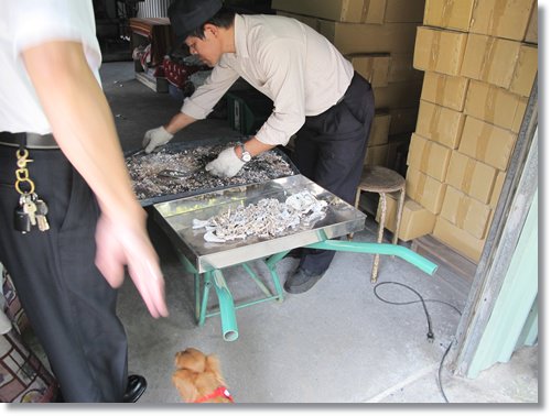 【PET】布,送你最後一程 - 第10張圖