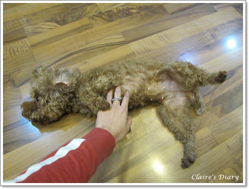 【開箱】 Shine Away 減壓背帶 - 第13張圖