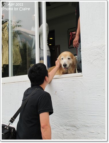 ★狗兒的春吶盛會 <重頭戲:跑錯麻咪的小T...> - 第16張圖