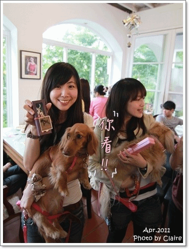 ★狗兒的春吶盛會 <重頭戲:跑錯麻咪的小T...> - 第40張圖