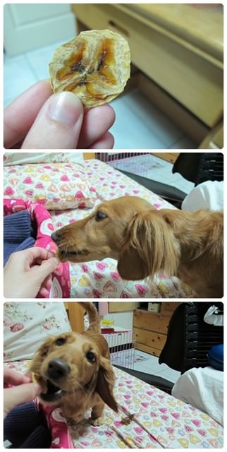 【DIY】用乾燥機做寵物零食 - 第7張圖