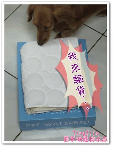 【Tila愛買買】第四代茵夢湖寵物水床 - 第3張圖