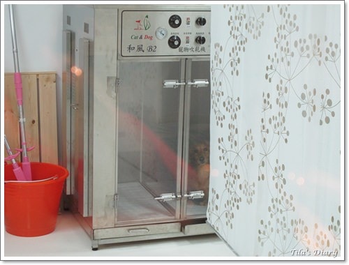 【Tila】Docky磁化牛奶浴~&~失落的蝴蝶結 - 第13張圖 【Tila】Docky磁化牛奶浴~&~失落的蝴蝶結