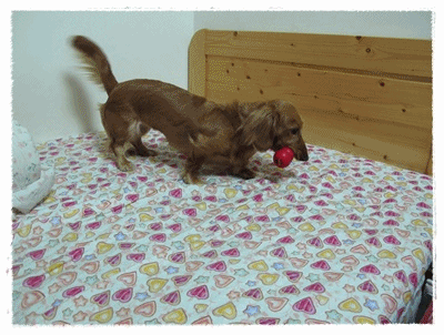 【Tila愛買買】葫蘆型Kong - 第5張圖