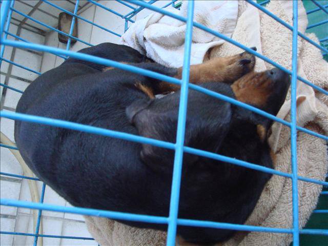 ◆Claire心底話◆短暫的緣分 妹妹 - 第3張圖