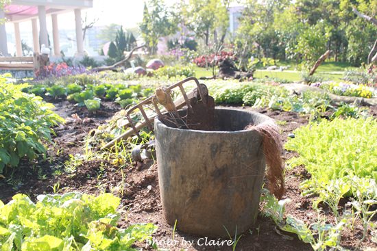 【遊】聖誕氛圍‧人多到爆炸的花博 - 第7張圖