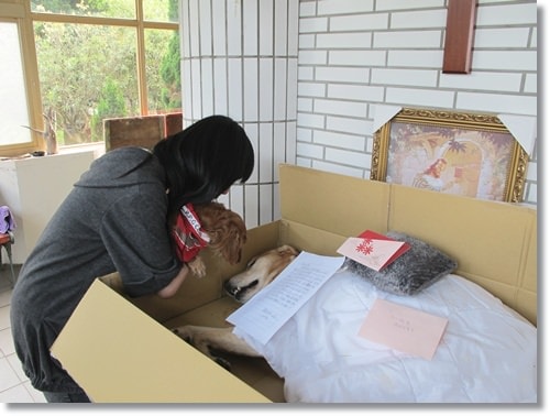 【PET】布,送你最後一程 - 第2張圖