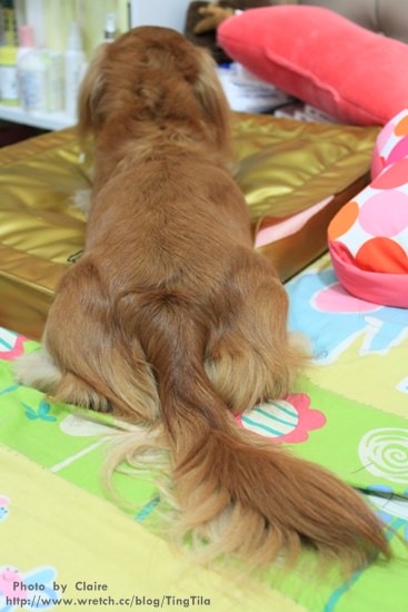 【Tila上學去】9/1 正式接觸響片 - 第5張圖