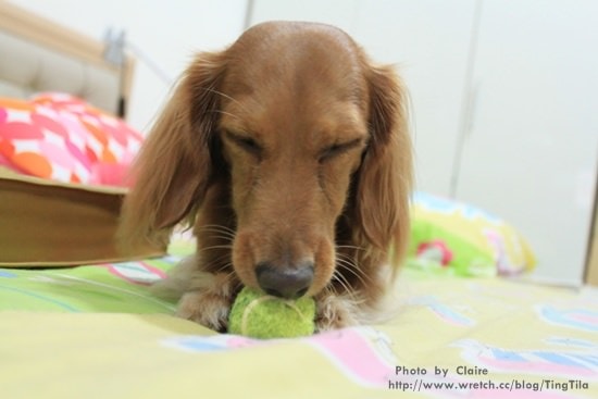 【Tila上學去】9/1 正式接觸響片 - 第4張圖