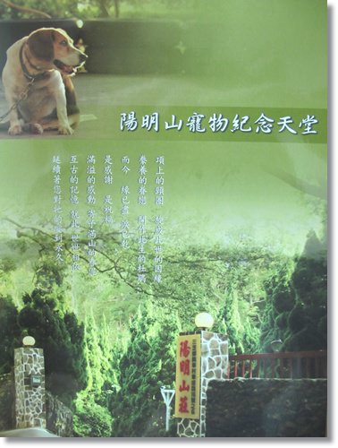 【PET】天使布 - 第10張圖