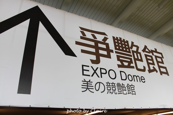 【遊】聖誕氛圍‧人多到爆炸的花博 - 第12張圖