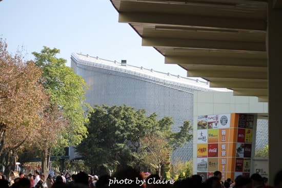 【遊】聖誕氛圍‧人多到爆炸的花博 - 第10張圖