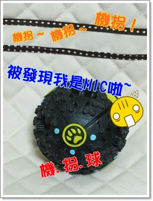 【Tila愛買買】葫蘆型Kong - 第10張圖