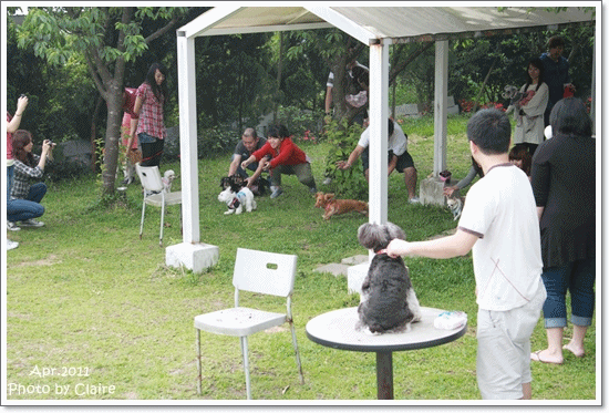 ★狗兒的春吶盛會 <重頭戲:跑錯麻咪的小T...> - 第26張圖