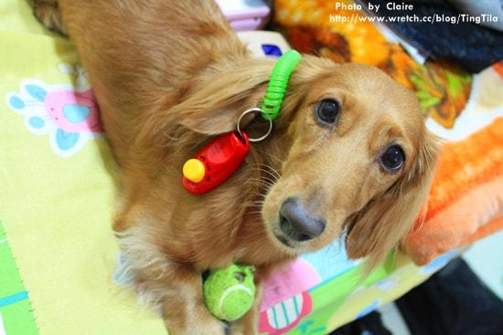 【Tila上學去】9/1 正式接觸響片 - 第1張圖