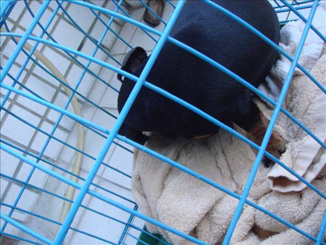 ◆Claire心底話◆短暫的緣分 妹妹 - 第4張圖