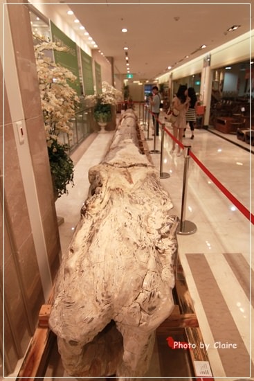 【食‧高雄】義大世界隨逛&紅舍RED THAI泰式料理 - 第4張圖