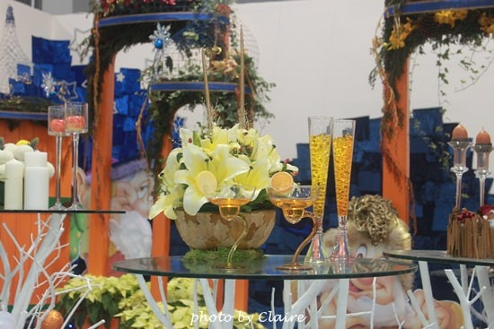 【遊】聖誕氛圍‧人多到爆炸的花博 - 第16張圖