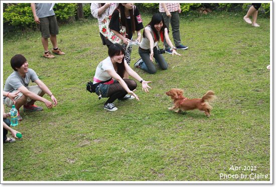 ★狗兒的春吶盛會 <重頭戲:跑錯麻咪的小T...> - 第29張圖