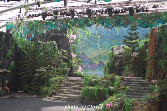 【遊】聖誕氛圍‧人多到爆炸的花博 - 第22張圖