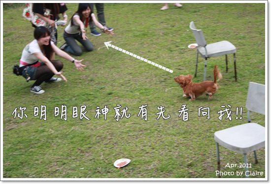 ★狗兒的春吶盛會 <重頭戲:跑錯麻咪的小T...> - 第28張圖