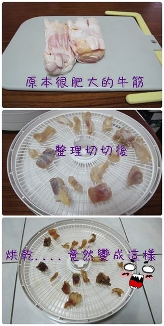 【DIY】用乾燥機做寵物零食 - 第2張圖