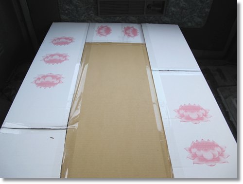 【PET】天使布 - 第5張圖