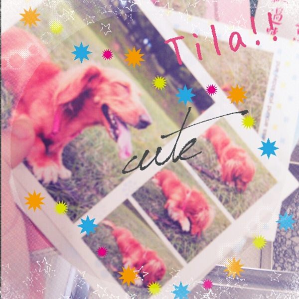 【APP】最近愛用的卡哇伊修圖軟體~Snapeee相片App♥ - 第5張圖 【APP】最近愛用的卡哇伊修圖軟體~Snapeee相片App♥