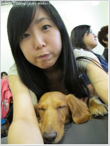 【腸♥聚】貓來貓去茶坊+環球迷你寵物公園 - 第16張圖