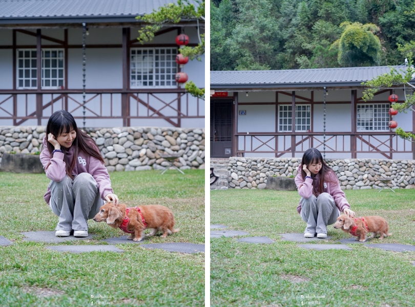 【日月潭寵物友善住宿】八番私人住宅 Residence 8｜草地放電四人房，親子毛孩入住心得-安靜到想多住一晚