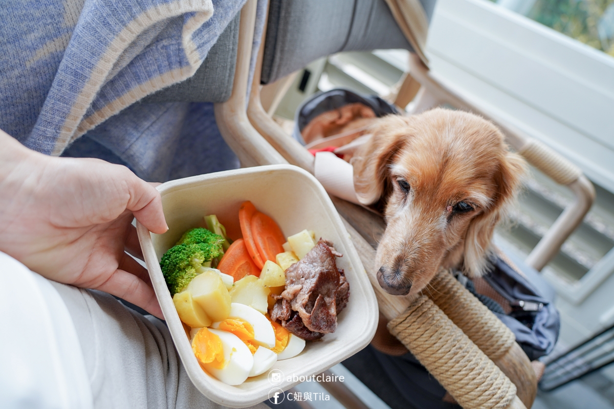 【日月潭寵物友善住宿】八番私人住宅 Residence 8｜草地放電四人房，親子毛孩入住心得-安靜到想多住一晚