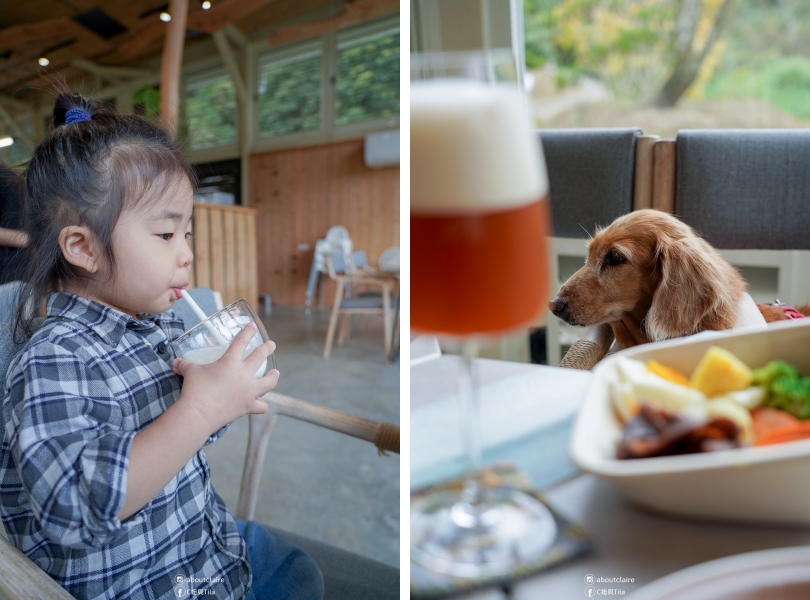【日月潭寵物友善住宿】八番私人住宅 Residence 8｜草地放電四人房，親子毛孩入住心得-安靜到想多住一晚