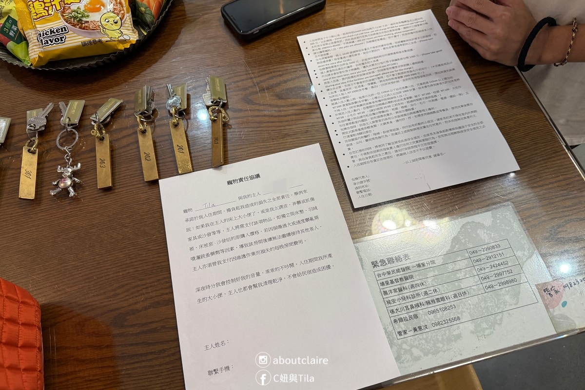 【南投埔里包棟民宿】希爾拉villa Here & Now Villa！親子寵物友善， 一家人住進純白泳池民宿