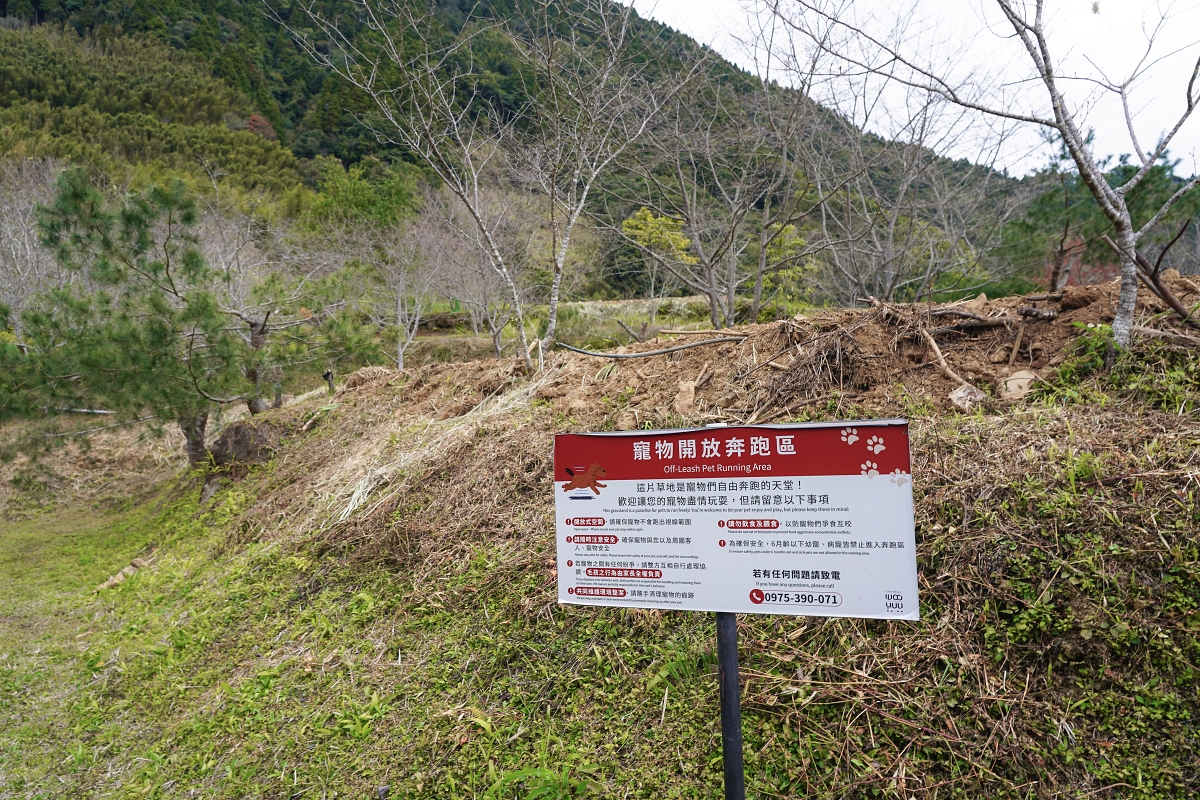 【新竹五峰露營車推薦】蟬說：霧語露營車開箱｜親子寵物友善、一泊二食免裝備超享受